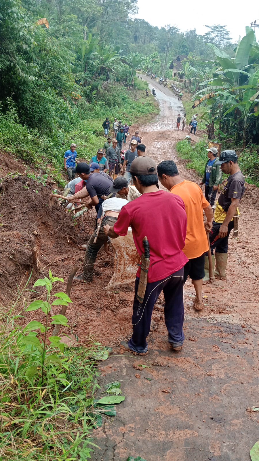 Evakuasi Material Longsor di Sinar Jawa Tanggamus, Ini Kata Kepala Pekonnya