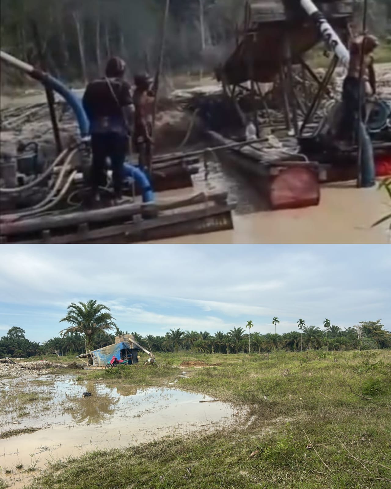 Puluhan Set Dompeng PETI di Dam Sesah Kec Margo Tabir Kab Merangin Semakin Meraja Lela Ditanah Pemda Merangin: APH Jangan Tutup Mata Dan Pembiaran