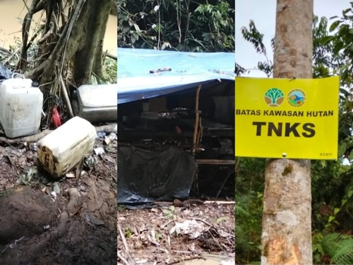 Dugaan PETI di Kawasan TNKS Sumatera Barat, PHBN Minta Gakkum Satgas PKH Halilintar Pusat Turun Tangan