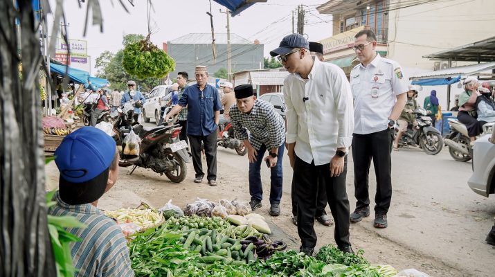 Gubernur Tinjau Ruas Strategis di Jatimulyo, Dorong Normalisasi Drainase dan Perbaikan Jalan