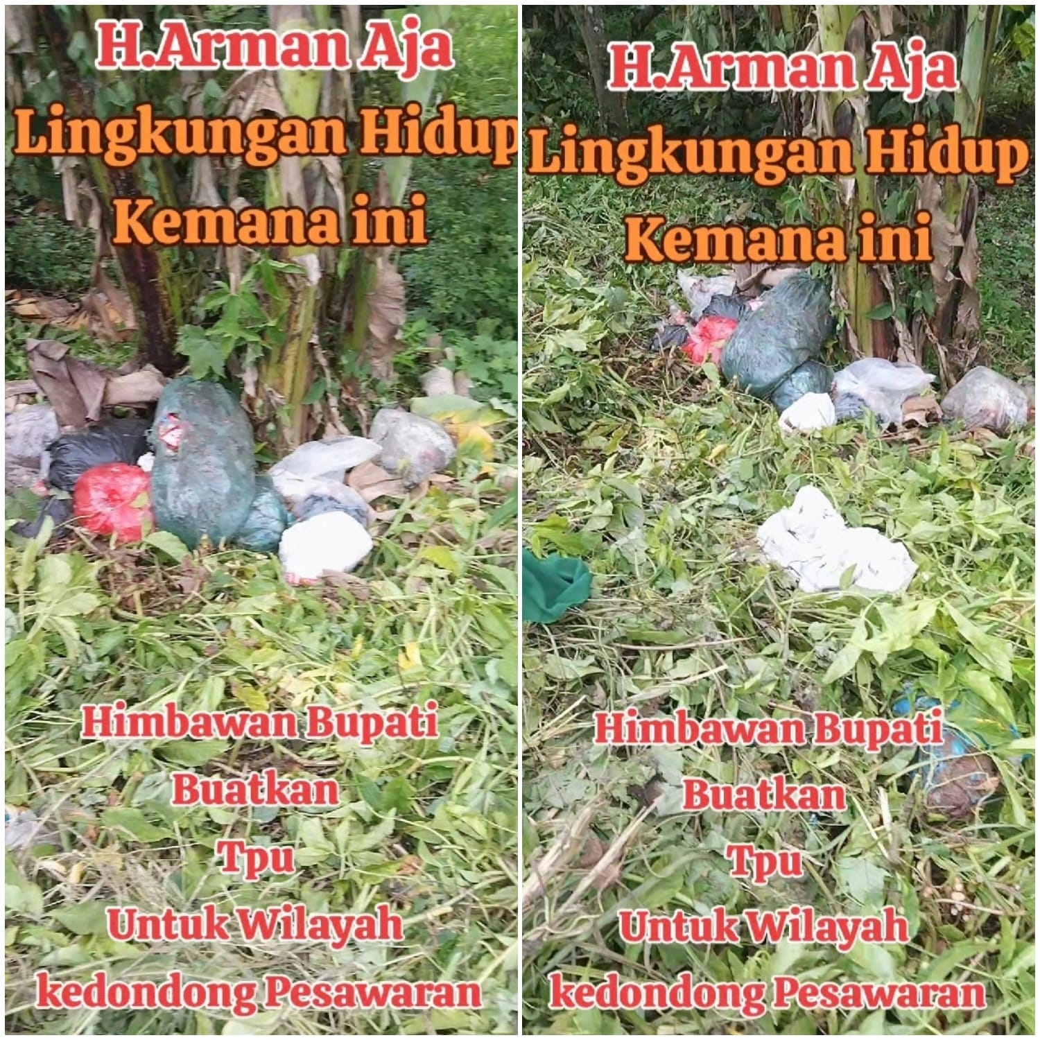 Larangan Pembuangan Sampah Sembarangan di Pekarangan Pribadi Desa Tebah Jawa, Dinas Lingkungan Hidup Harus Lakukan Pemeriksaan