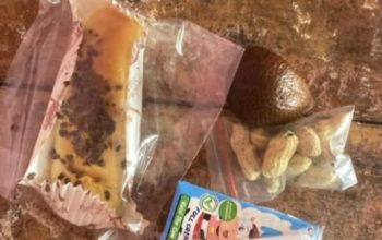 Diduga Tak Kapok Meski Sudah Disanksi, SPPG Sekincau 1 Kembali Sajikan Menu “Seadanya” ke Siswa