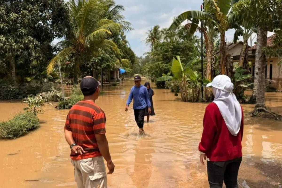 DPRD Tinjau Lokasi Banjir Lampung Selatan, Dorong Perbaikan Tanggul Way Galih