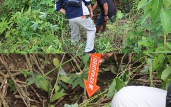 Polres Tanggamus Amankan Pelaku Penganiayaan Hingga Meninggal Dunia di Wonosobo