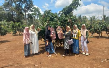 Wisata Kebun Klengkeng Mutiara Teduh di Pagelaran Utara Ramai Dipadati Pengunjung