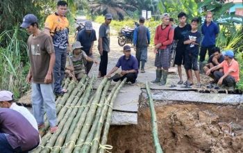 Gotong Royong Warga dan Pemerintah Bangun Jembatan Darurat Dari Bambu