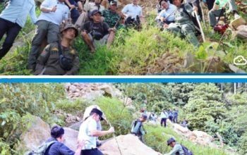 Bupati Egi Tinjau Lokasi Longsor Gunung Rajabasa Naik 3 Km Tanam 50 Pohon Cegah Bencana Longsor Susulan