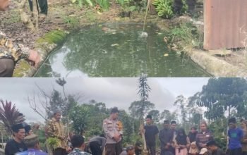 Polsek Pulau Panggung Identifikasi Balita Tenggelam di Kolam Penampungan