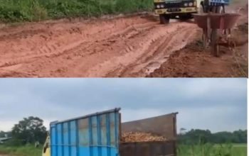 Jalan Rusak Kabupaten di Desa Purwotani Kec.Jati Agung Implentasi Buruknya Kinerja Pemkab dan PUPR Lampung Selatan