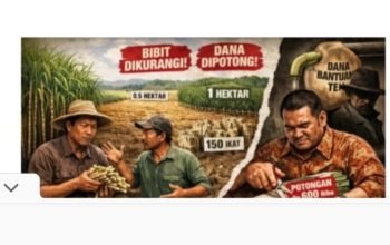 Diduga Lakukan Pungli Bantuan Pusat, Pengurus Koperasi Tebu di Lampura Harus Ditindak Tegas