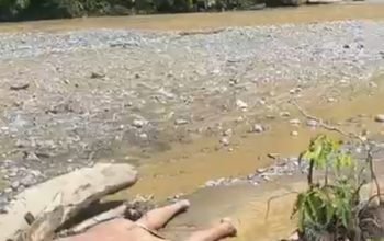 Jekson Kapisa Selaku Ketua PIDAR Papua Barat Soroti Tambang Ilegal Wasirawi
