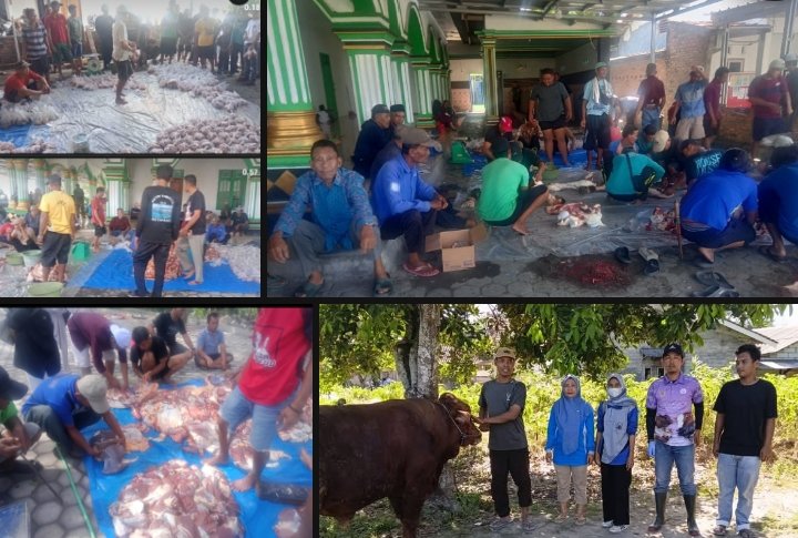 16 Desa di Kecamatan Ketapang Laksanakan Penyembelihan Hewan Qurban Berjalan Lancar