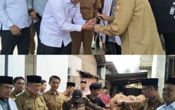Bupati Tanggamus Serahkan Sapi Kurban Presiden Prabowo Seberat 1 Ton Lebih ke Masjid Al-Khasyi’in