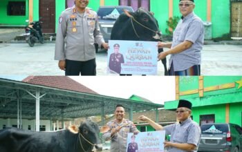 Kapolres OKI Serahkan Hewan Kurban dari Kapolda Sumsel untuk Pondok Pesantren di Lempuing