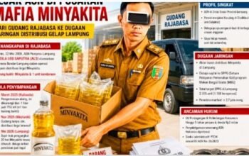 Kasus Mafia Minyakita Menyeret Nama Aldila Jadi Sorotan Pengamat Hukum
