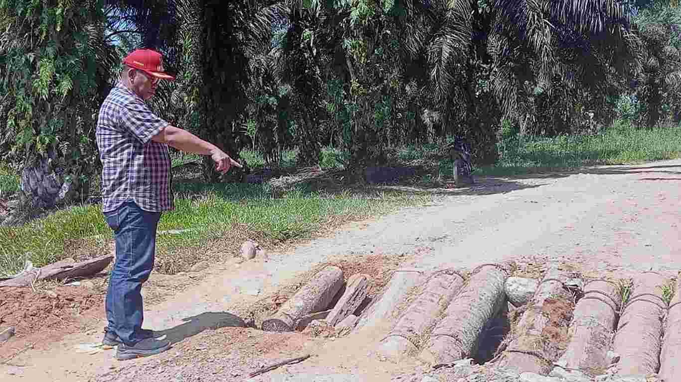 Camat Selagai Lingga Kawal Perbaikan Gorong-gorong Penghubung Antarkabupaten