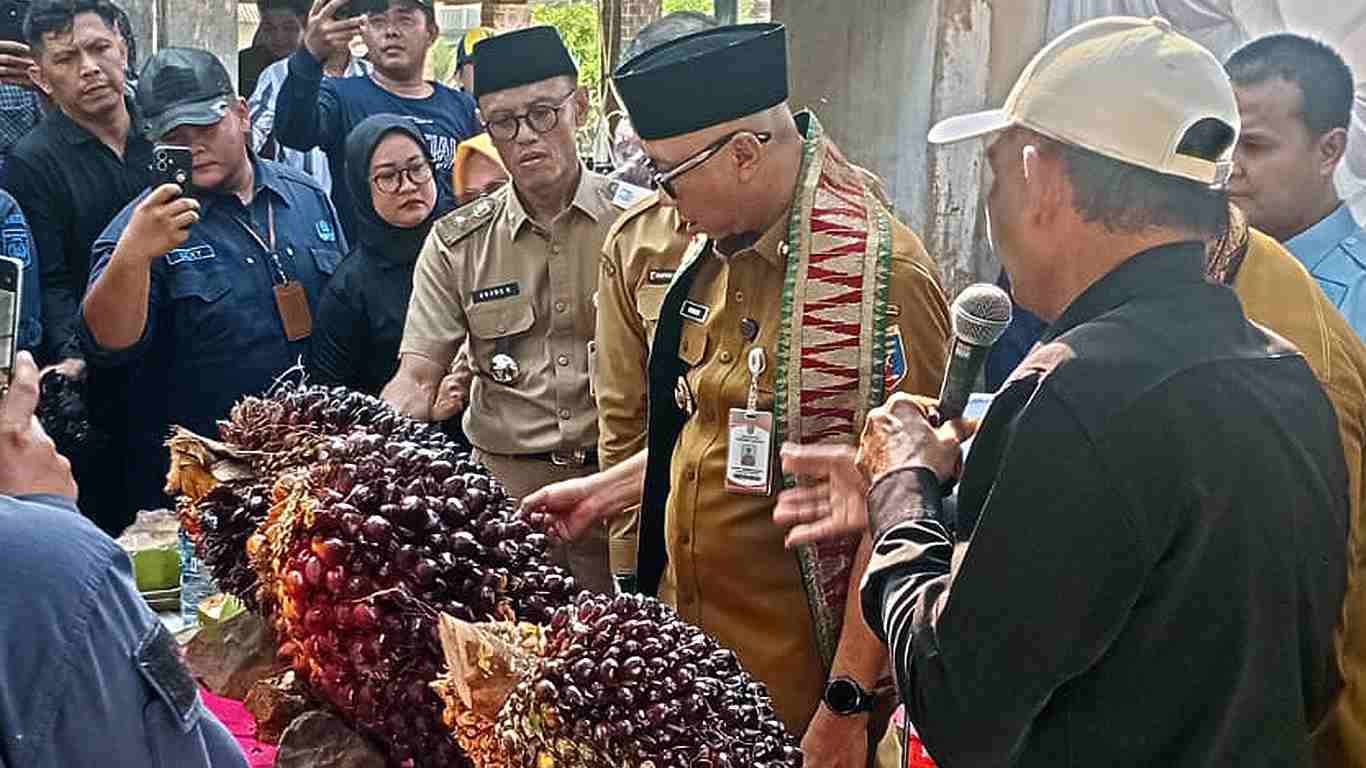 Gubernur Lampung Tinjau Keberhasilan Pupuk Hayati Cair di Lampung Timur