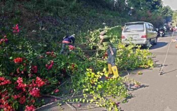 Pemprov Lampung Rapikan Jalan Waduk Batu Tegi Usai Dikomplain Ketua PKK Tanggamus