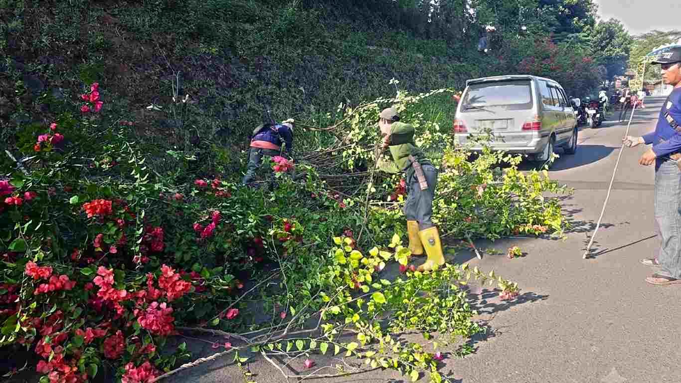 Pemprov Lampung Rapikan Jalan Waduk Batu Tegi Usai Dikomplain Ketua PKK Tanggamus