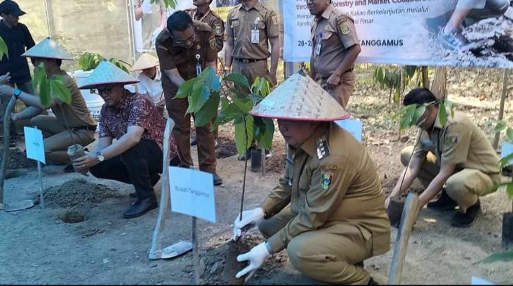 World Chocolate Day 2026 Pemkab Tanggamus Perkuat Hilirisasi Komoditas Kakao, Kopi dan Kelapa