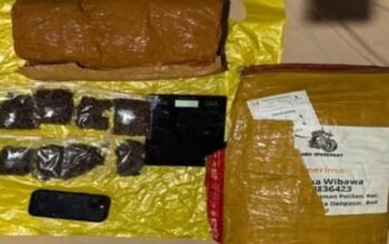 Polda Lampung Gagalkan Penyelundupan 6 Kg Ganja Jaringan Medan-Bali