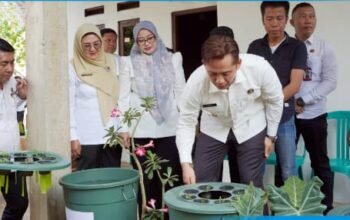 Bupati Lampung Selatan Luncurkan Program Teras HELAU untuk Kemandirian Pangan