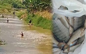 Dugaan Pencemaran Sungai Way Ratai Berulang, Warga Pertanyakan Negara: “Sampai Kapan Kami Jadi Korban?”