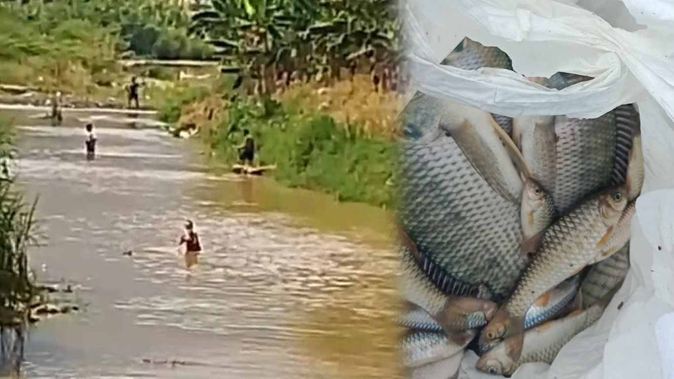 Dugaan Pencemaran Sungai Way Ratai Berulang, Warga Pertanyakan Negara: "Sampai Kapan Kami Jadi Korban?"