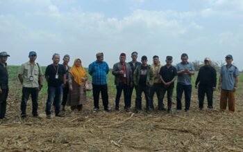 Ahli Waris Klaim 400 Hektare Tanah di Menggala Dikuasai SGC, Minta Pemerintah Turun Tangan