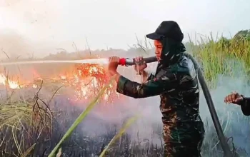 JMSI Lampung Ingatkan Mitigasi Konflik Satwa Liar Pasca Kebakaran TNWK