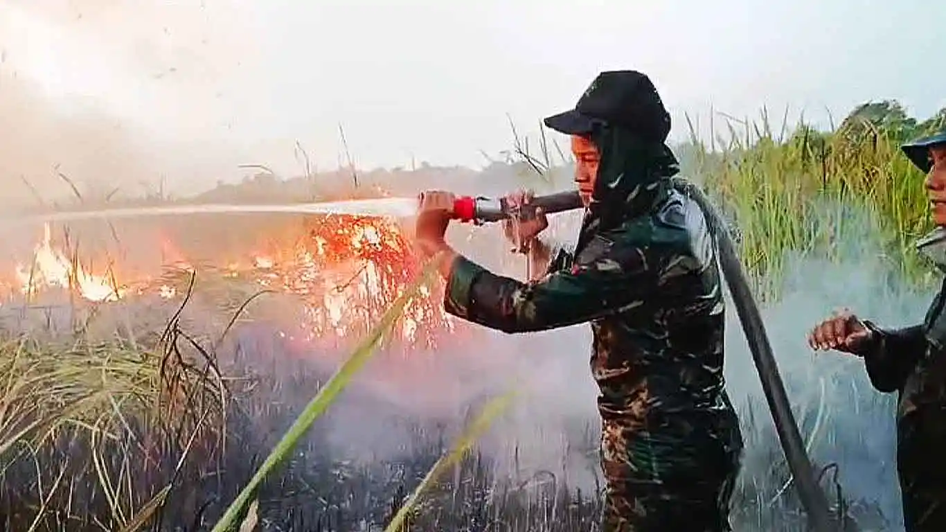 JMSI Lampung Ingatkan Mitigasi Konflik Satwa Liar Pasca Kebakaran TNWK