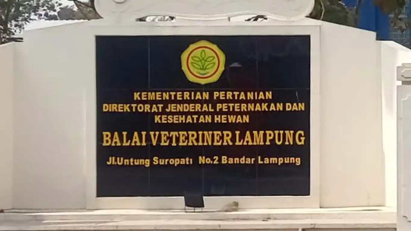 Menguliti Skandal Balai Veteriner Lampung: 72% Anggaran APBN Dikuasai “Duo Vendor”