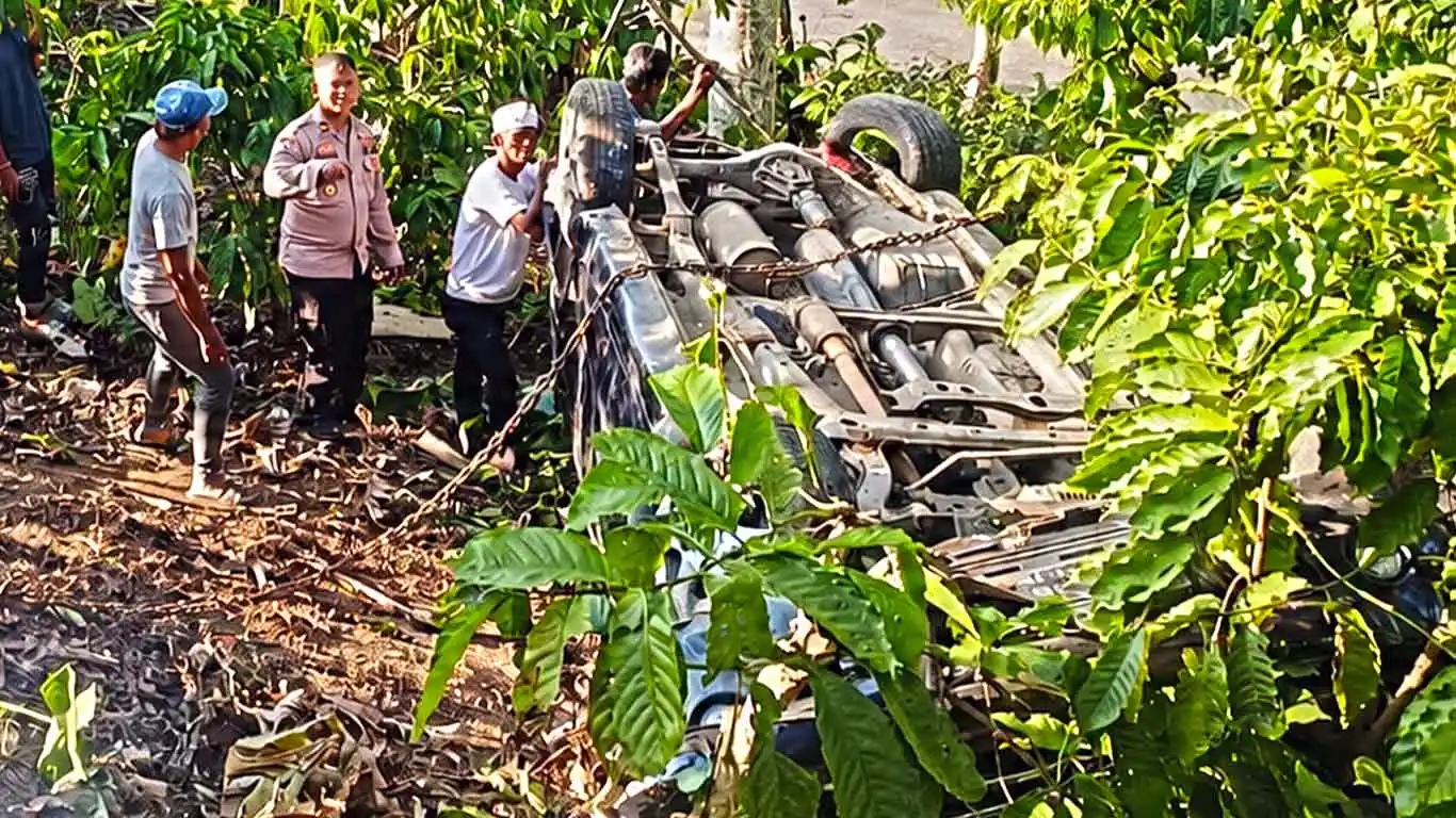 Mobil Terguling di Leter S Tanggamus, Masuk Kebun Kopi Sedalam 5 Meter
