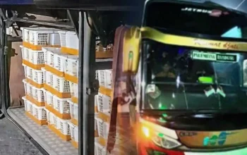 Polisi Gagalkan Penyelundupan 991 Burung Ilegal di Pelabuhan Bakauheni