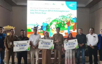 Produksi Kopi Tanggamus Naik, Produktivitas Tembus 1 Ton per Hektare