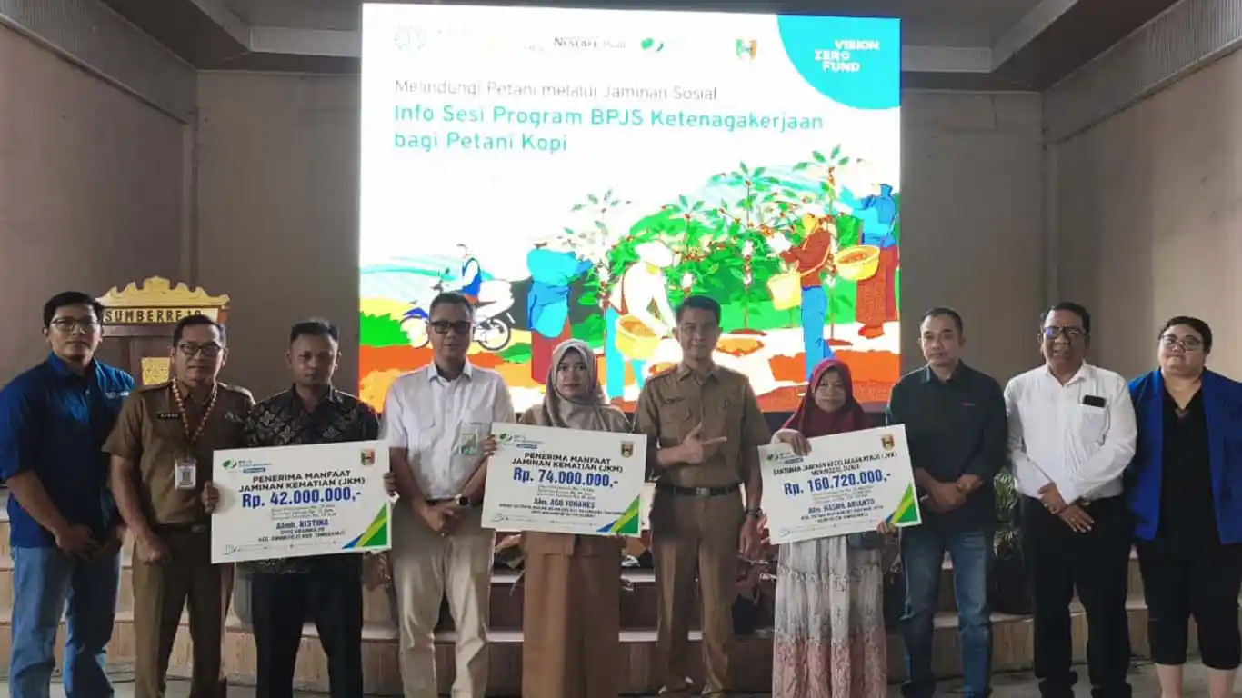 Produksi Kopi Tanggamus Naik, Produktivitas Tembus 1 Ton per Hektare