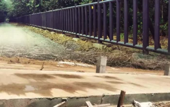 Proyek Pagar Pembatas Way Kambas Rp 839 Miliar: Solusi Konflik Gajah atau Perusakan Hutan Konservasi?