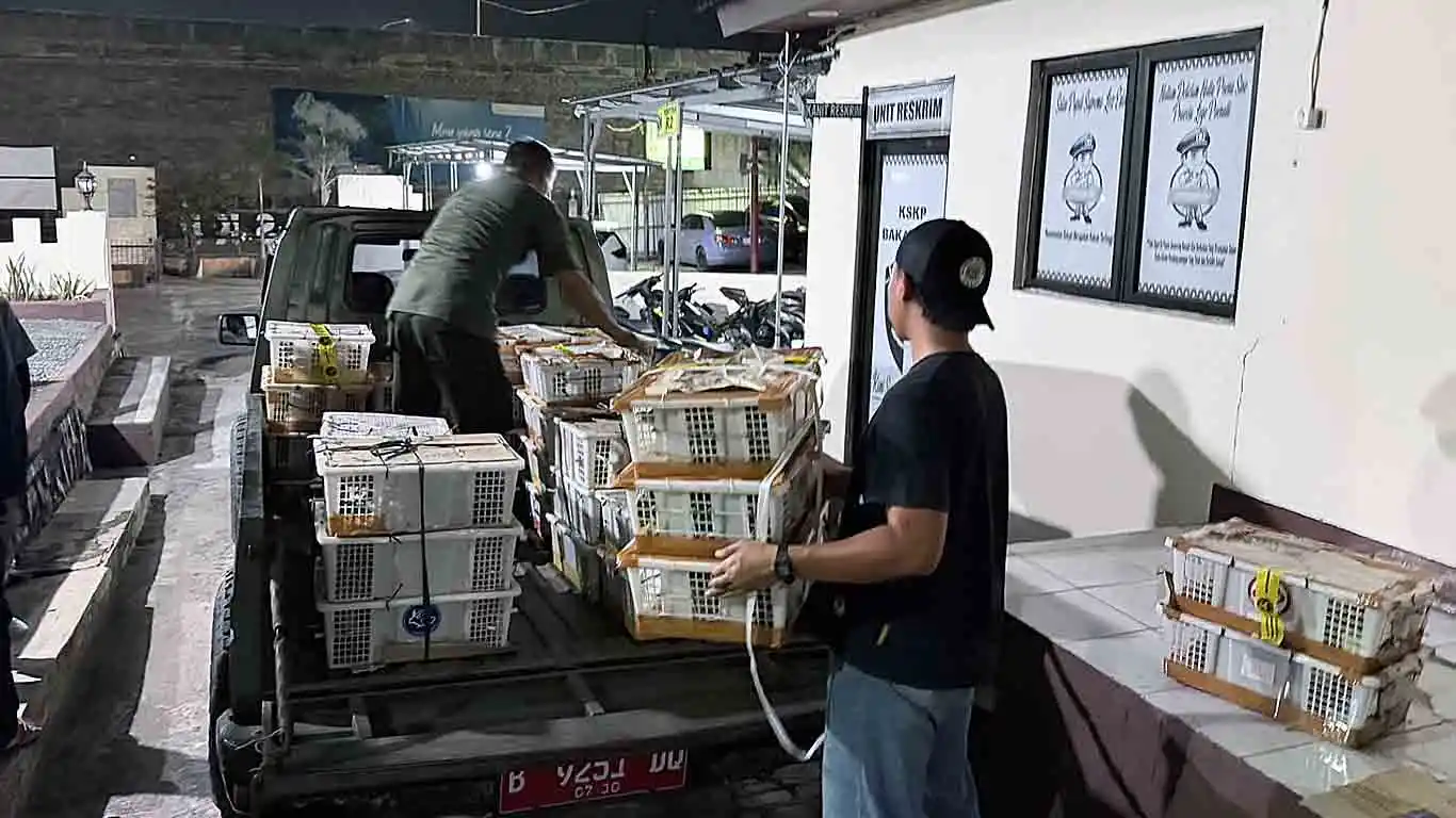 2.775 Burung Diamankan di Pelabuhan Bakauheni, Diangkut Tanpa Dokumen Karantina