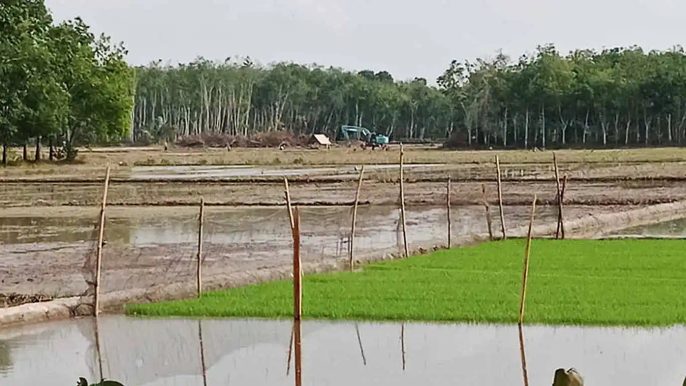 7 Excavator Diduga Buka Lahan di Kawasan Hutan Sialang Barat OKI, Warga Minta Pemerintah Turun Tangan