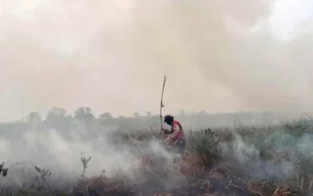 Asap Karhutla Kembali Menyelimuti OKI, PPWI Soroti Efektivitas Penanganan
