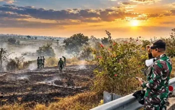 Dandim 0402 OKI-OI Tinjau Lokasi Karhutla, Pastikan Bara Api Benar-Benar Padam
