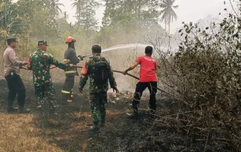 Kebakaran Lahan Terjadi di Sidomulyo, Diduga Akibat Pembakaran Sampah