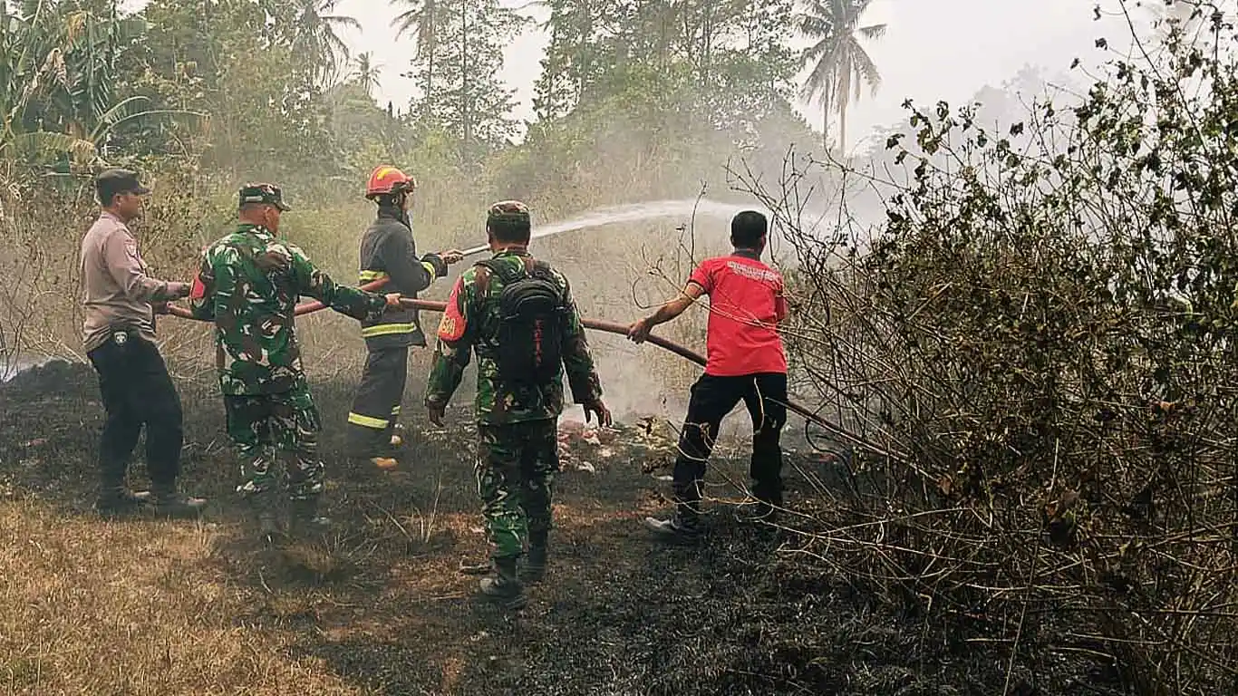Kebakaran Lahan Terjadi di Sidomulyo, Diduga Akibat Pembakaran Sampah