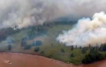 PPWI OKI Desak Pemerintah Gerak Cepat Tangani Karhutla di SM Padang Sugihan