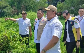 Tanggul Way Belu Jebol, Pemkab Tanggamus Siapkan Penanganan Darurat dan Permanen