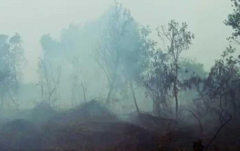 Kabut Asap Karhutla Kembali Selimuti OKI, PPWI Imbau Warga Kurangi Aktivitas di Luar Rumah