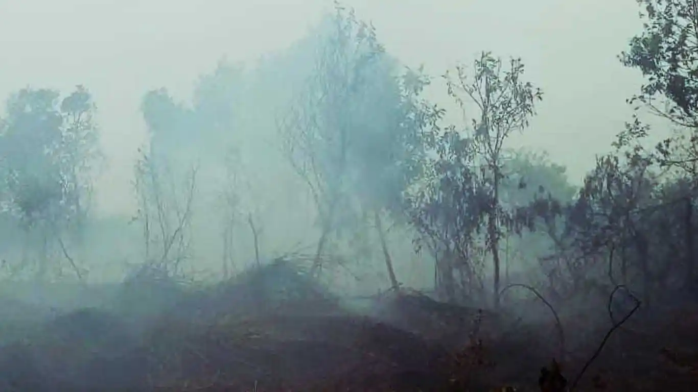 Kabut Asap Karhutla Kembali Selimuti OKI, PPWI Imbau Warga Kurangi Aktivitas di Luar Rumah
