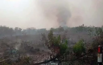 Kabut Asap Makin Pekat di OKI, PPWI Desak Pemerintah Segera Lindungi Warga
