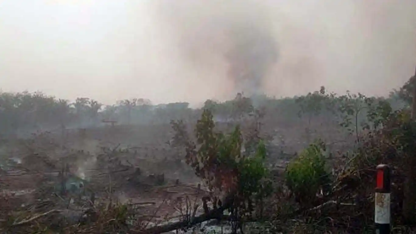 Kabut Asap Makin Pekat di OKI, PPWI Desak Pemerintah Segera Lindungi Warga