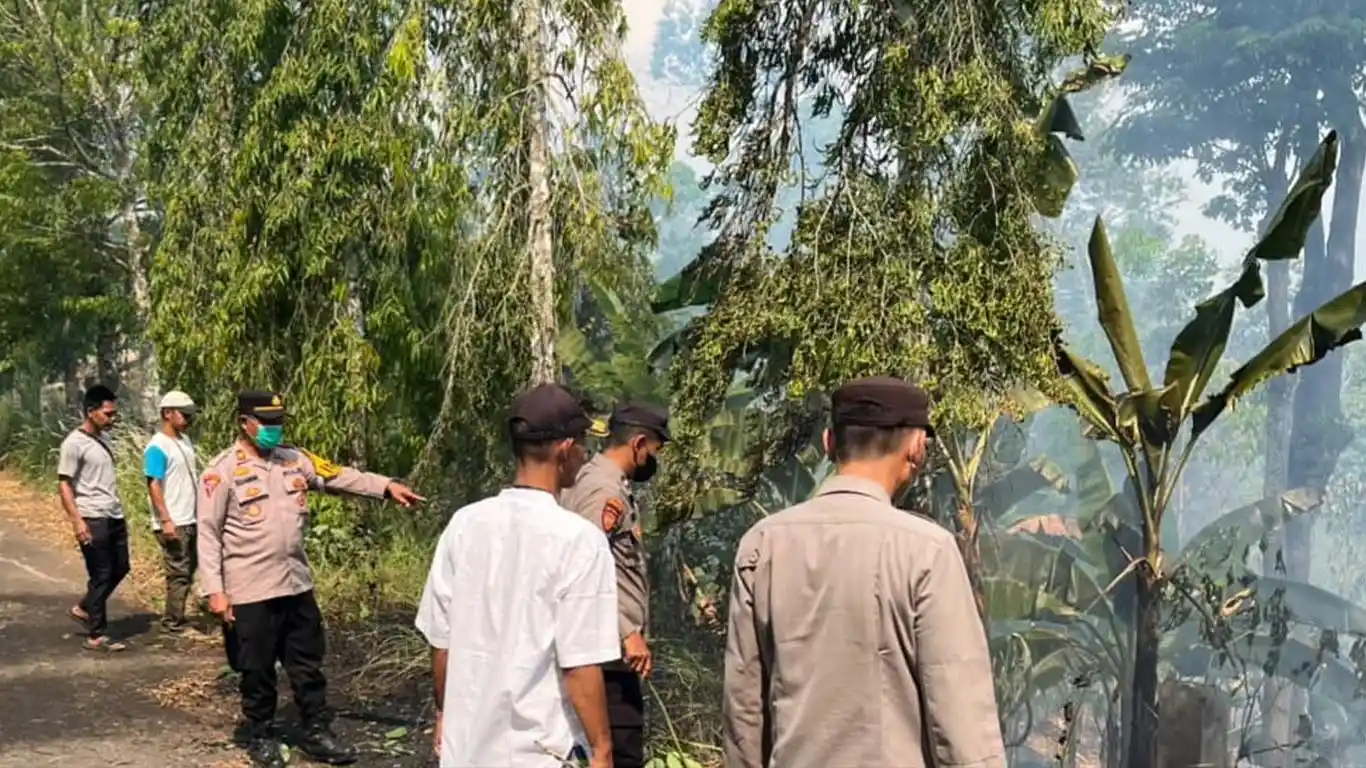 Kebakaran Lahan 1,5 Hektare Terjadi di Batu Tegi Tanggamus, Diduga Dipicu Puntung Rokok